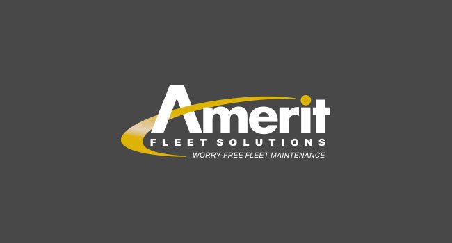 Amerit Fleet Solutions